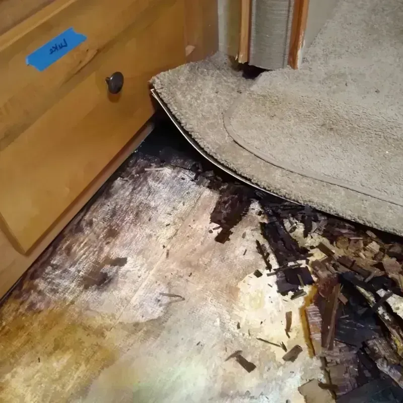 Wood Floor Water Damage in Piney, AR